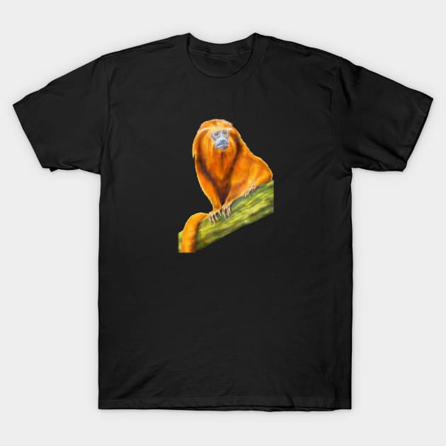 Golden Lion Tamarin T-Shirt by Tim Jeffs Art